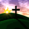 Return to Website