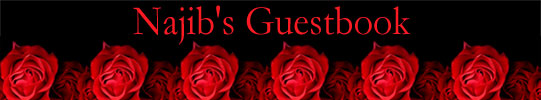 Return to Website