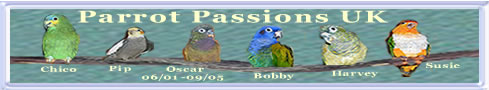 Return to Website