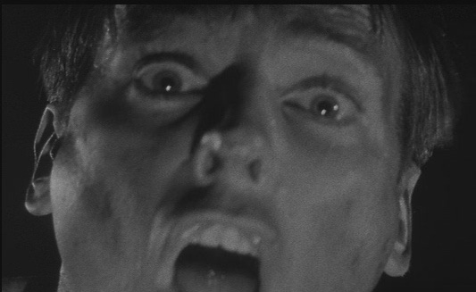 B-Movie Monsters: Attack of the Giant Screen