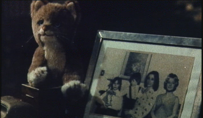 The only cat in the film - a stuffed one - looks more like a teddy bear. It rests next to a photograph related to the killer's past.
