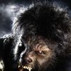 The Wolfman in 2010 - Watch the Trailer