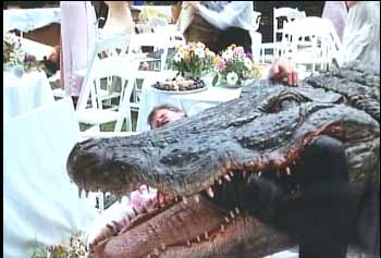 Ramon the alligator crashes a wedding party in the tongue-in-cheek ALLIGATOR (1980).