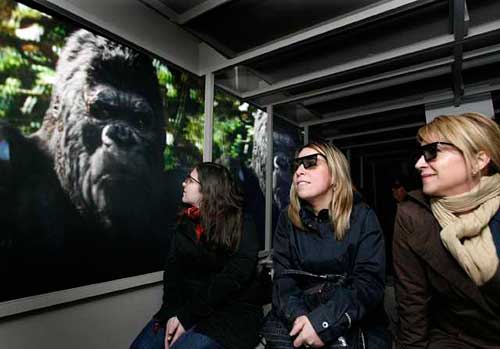 The tram takes visitors into the jungles of Skull Island.