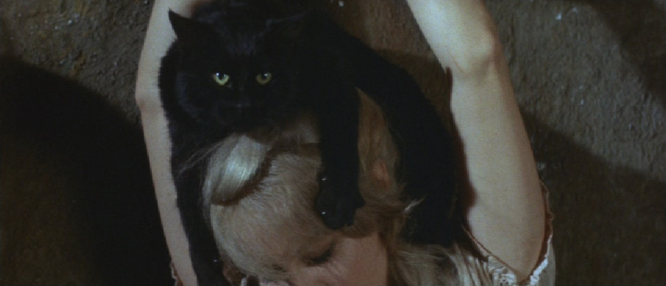 The Black Cat atop the head of its dead mistress (Joyce Jameson)