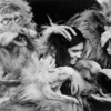 Labyrinth at Fairfax Cinemas
