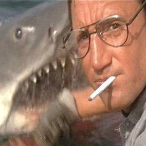 Jaws