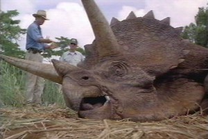 The live-action Triceratops was the only dino to go to Hawaii