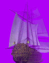 Return to Website