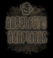 Return to Website