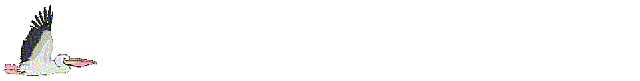 -----