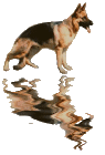 -----