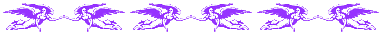 Return to Website