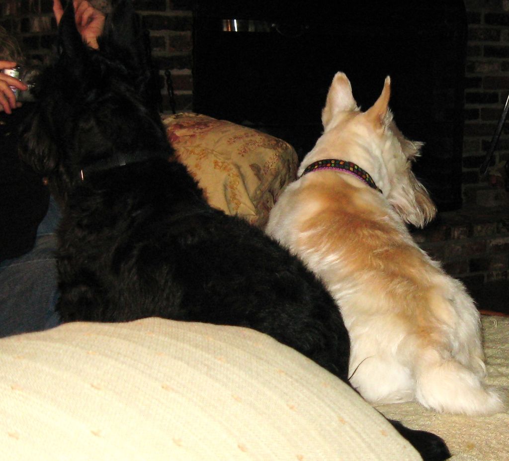 ike&rocket