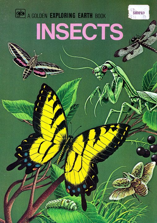 First insect book you ever had? Forum