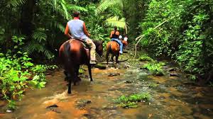 Best Belize Hotels On The Beach