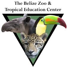 Best Belize Hotels On The Beach