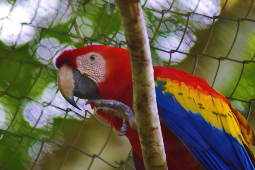 Best Belize Hotels On The Beach